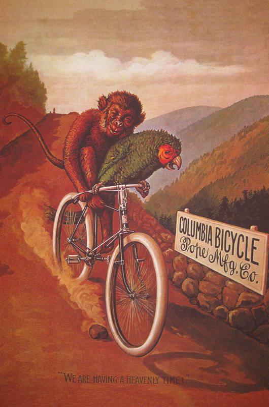 Cassius Marcellus Coolidge Columbia Bicycles